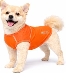 Pet Life Active Aero-Pawlse Heathered Quick-Dry 4-Way Stretch-Performance Dog T-Shirt, Orange, X-Small