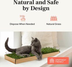 DoggieLawn Kitty Lawn Real Grass Cat Window Perch, Green, 24 x 9 x 2-in slide 2 of 8