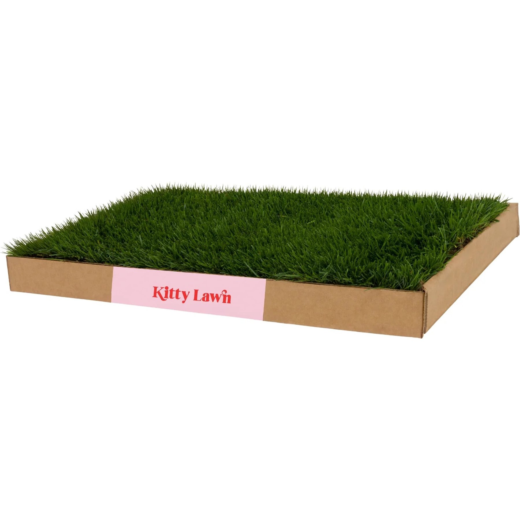 DoggieLawn Kitty Lawn Real Grass Cat Window Perch, Green, 24 x 16 x 2-in