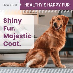 Chew + Heal Advanced Pasture-Raised Beef Collagen Complex Itch & Redness Remedy Chicken Flavored Liquid Skin & Coat Supplement with Pump for Dogs, 4-fl oz bottle slide 2 of 9