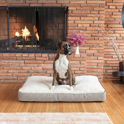 Snoozer Pet Products Snoozer Pet Products Reversible Premium Slumber Spot with Ivory Cloud 9 Top Machine Washable Pillow Dog Bed, Merlin Linen, Small