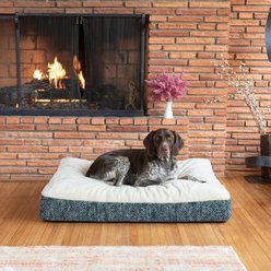 Snoozer Pet Products Reversible Premium Slumber Spot with Ivory Cloud 9 Top Machine Washable Pillow Dog Bed, Palmer Indigo, X-Large slide 1 of 3