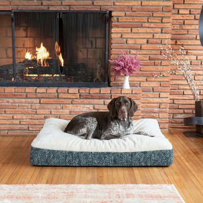 Snoozer Pet Products Snoozer Pet Products Reversible Premium Slumber Spot with Ivory Cloud 9 Top Machine Washable Pillow Dog Bed, Palmer Indigo, Large