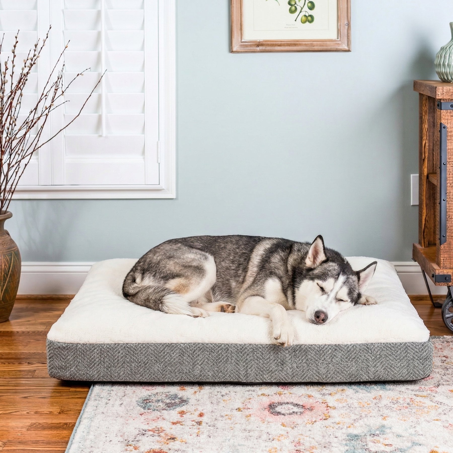 Snoozer Pet Products Reversible Premium Slumber Spot with Ivory Cloud 9 Top Machine Washable Pillow Dog Bed, Palmer Dove, Medium
