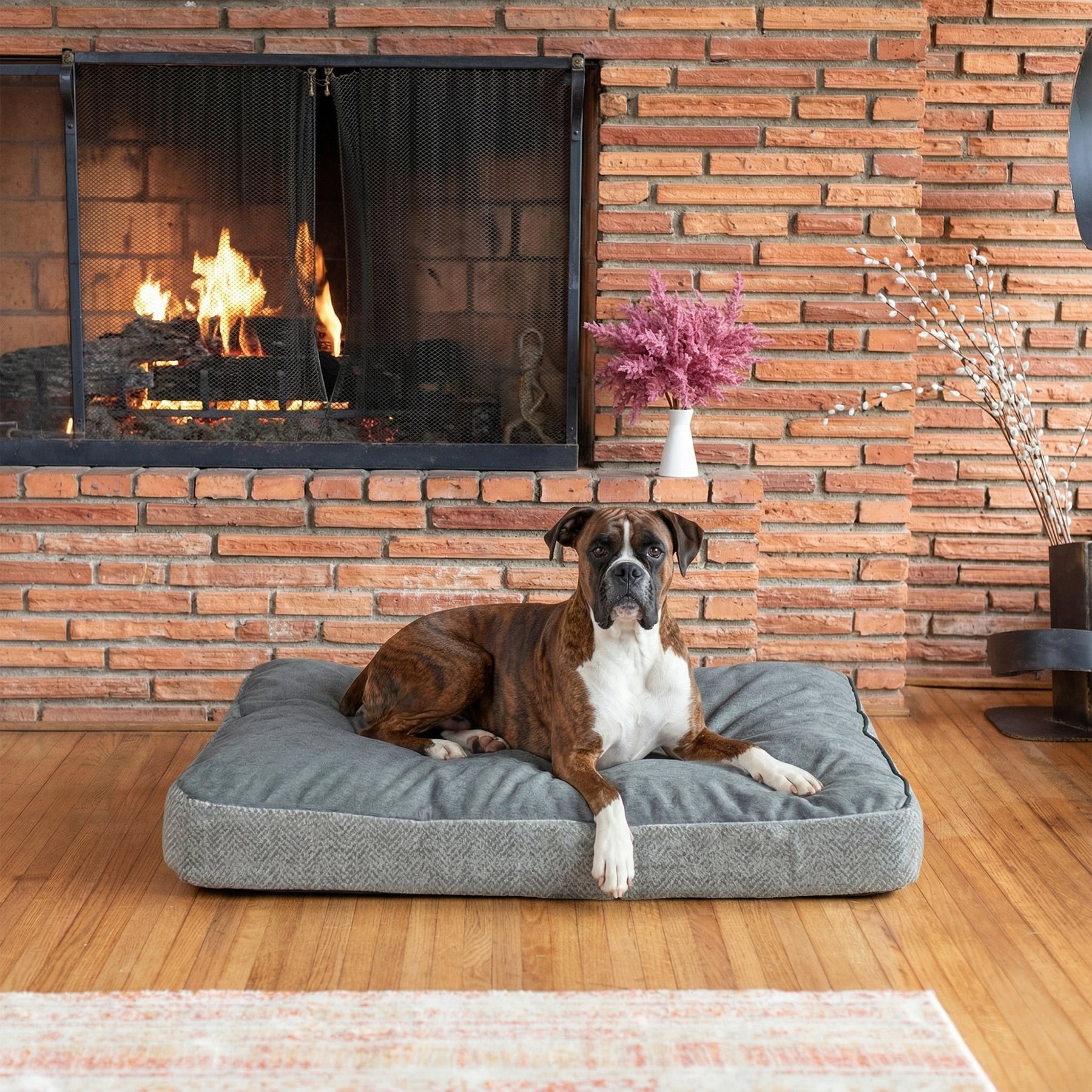 Snoozer Pet Products Reversible Premium Slumber Spot with Ash Cloud 9 Top Machine Washable Pillow Dog Bed, Palmer Dove, Small