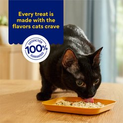 Chewy Made Broths Chicken, Carrots & Pumpkin Recipe Wet Cat Food Complement Pouches, 1.4-oz pouch, case of 16 slide 2 of 9