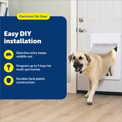 PetSafe Electronic Pet Door, Large slide 2 of 7