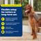 Show in main carousel: PetSafe 96-in Sliding Glass Pet Door, Large, Tall slide 2 of 11