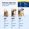 Show in main carousel: PetSafe Sliding Glass Pet Door, 2-Piece, Small slide 4 of 11