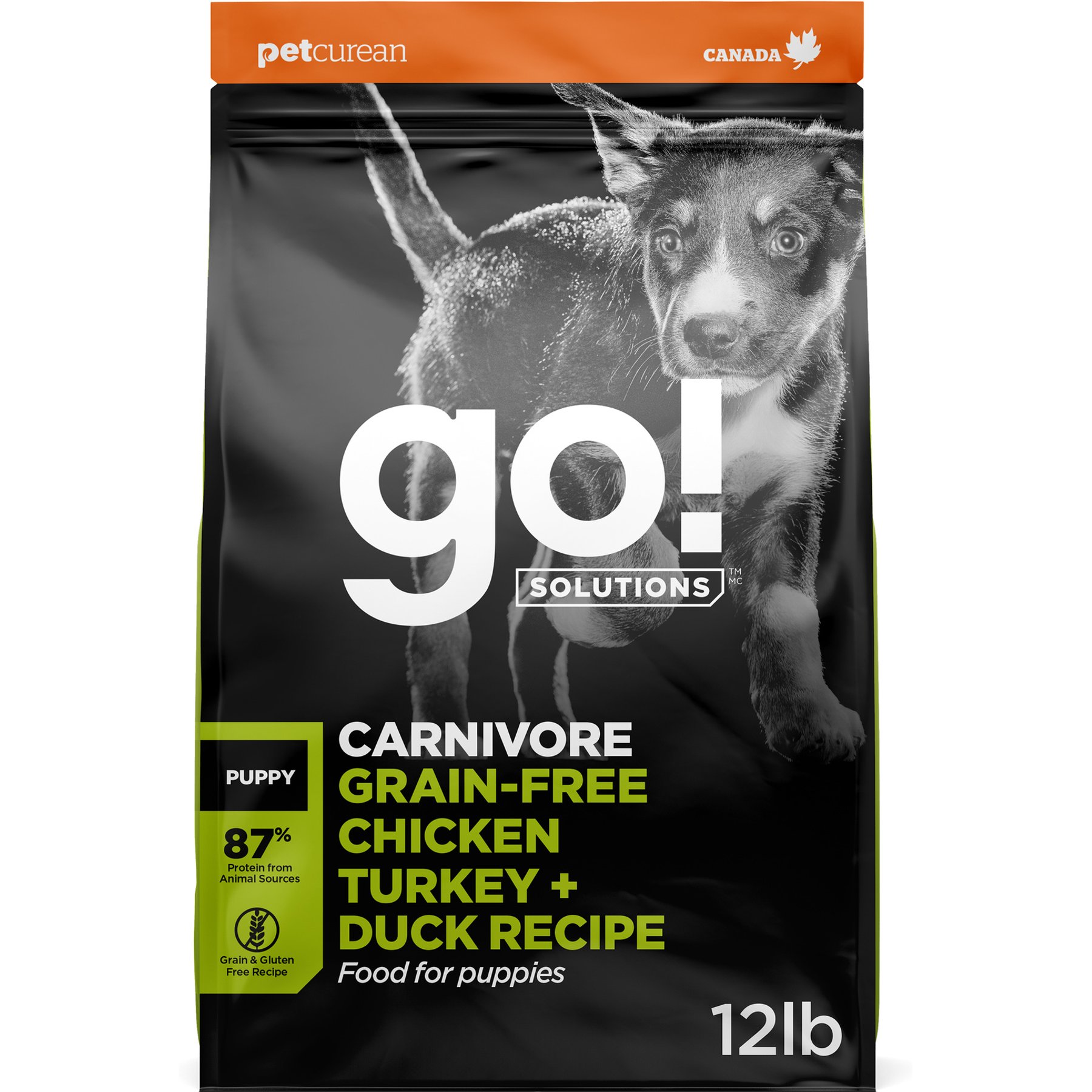 Go! Solutions Carnivore Grain-Free Chicken, Turkey + Duck Puppy Recipe Dry Dog Food, 12-lb bag