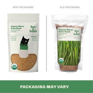 Rose & Branch Organic Wheat Cat Grass Seeds, 16-oz pouch