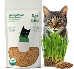 Rose & Branch Organic Wheat Cat Grass Seeds, 16-oz pouch