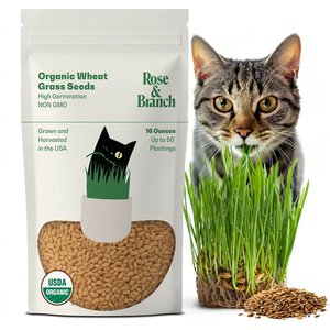 Rose & Branch Organic Wheat Cat Grass Seeds, 16-oz pouch
