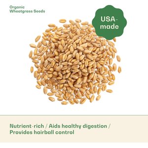 Rose & Branch Organic Wheat Cat Grass Seeds, 16-oz pouch