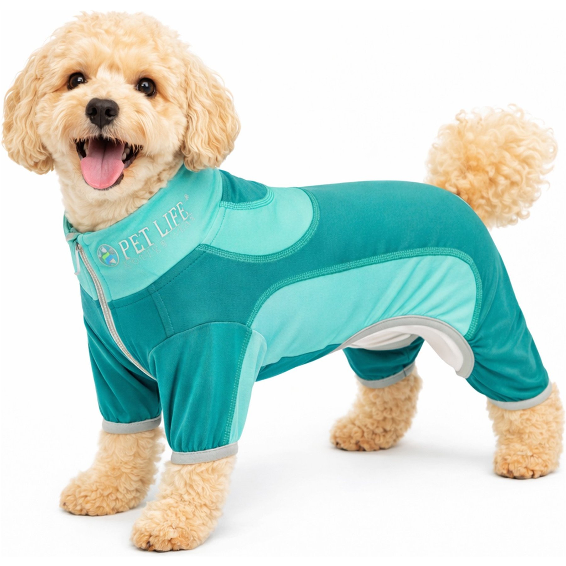 Pet Life Active Warm-Pup Dog Hoodie, Aqua Green & Green, Large