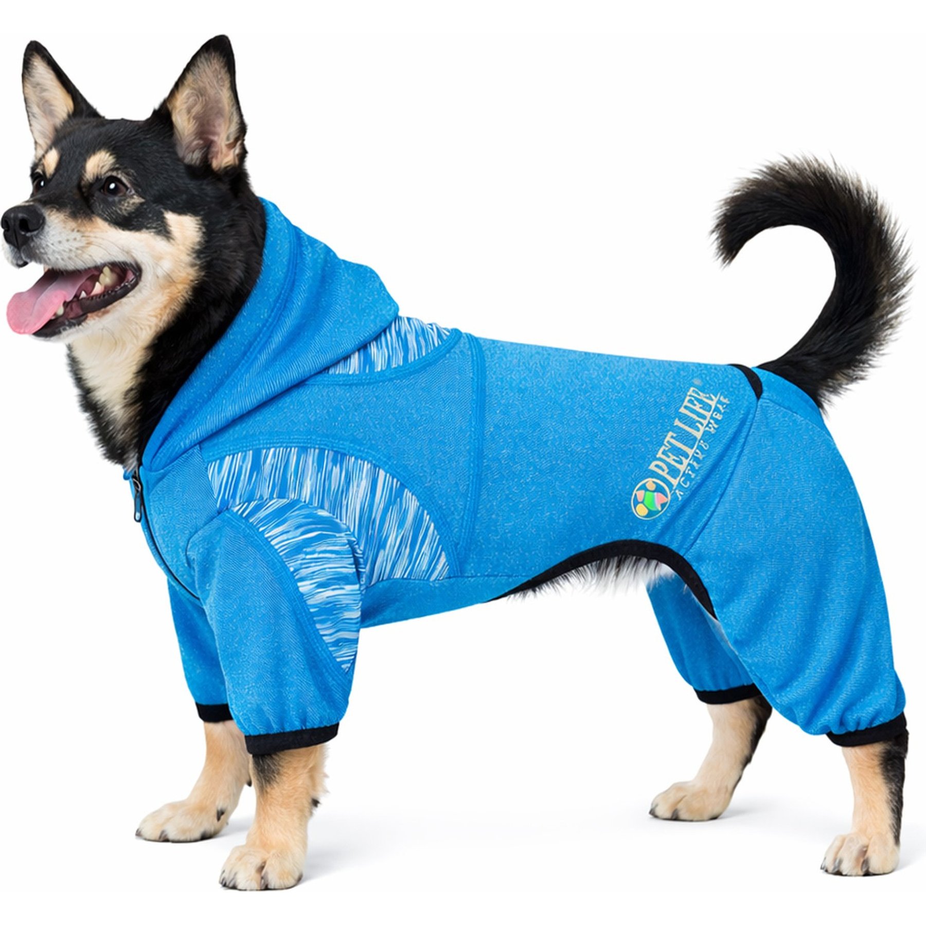 Pet Life Active Pawsterity Dog Hoodie, Blue, Small