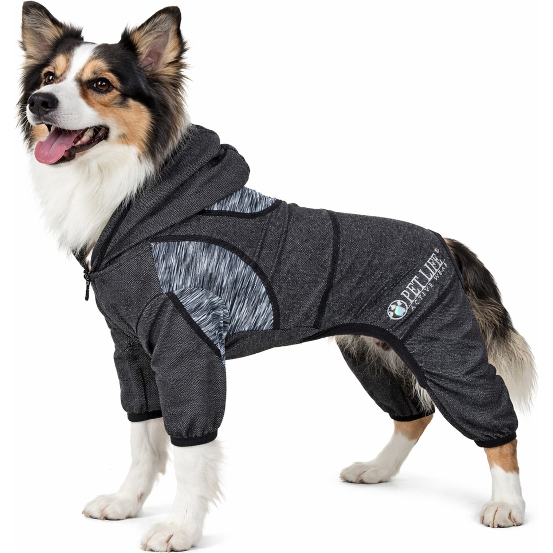 Pet Life Active Pawsterity Dog Hoodie, Black, Large