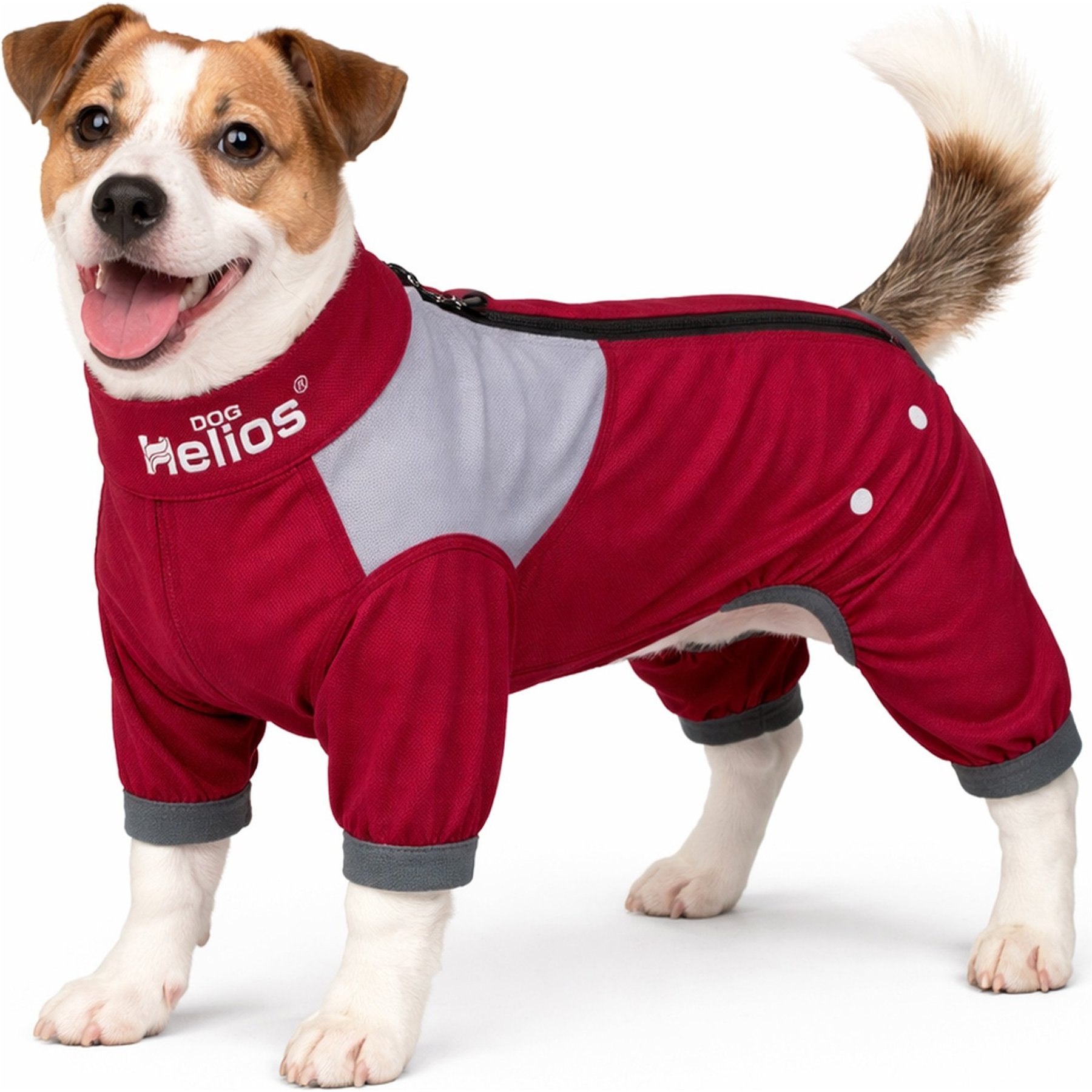 Dog Helios Tail Runner Lightweight 4-Way Stretch Performance Dog Tracksuit, Red & Grey, Small