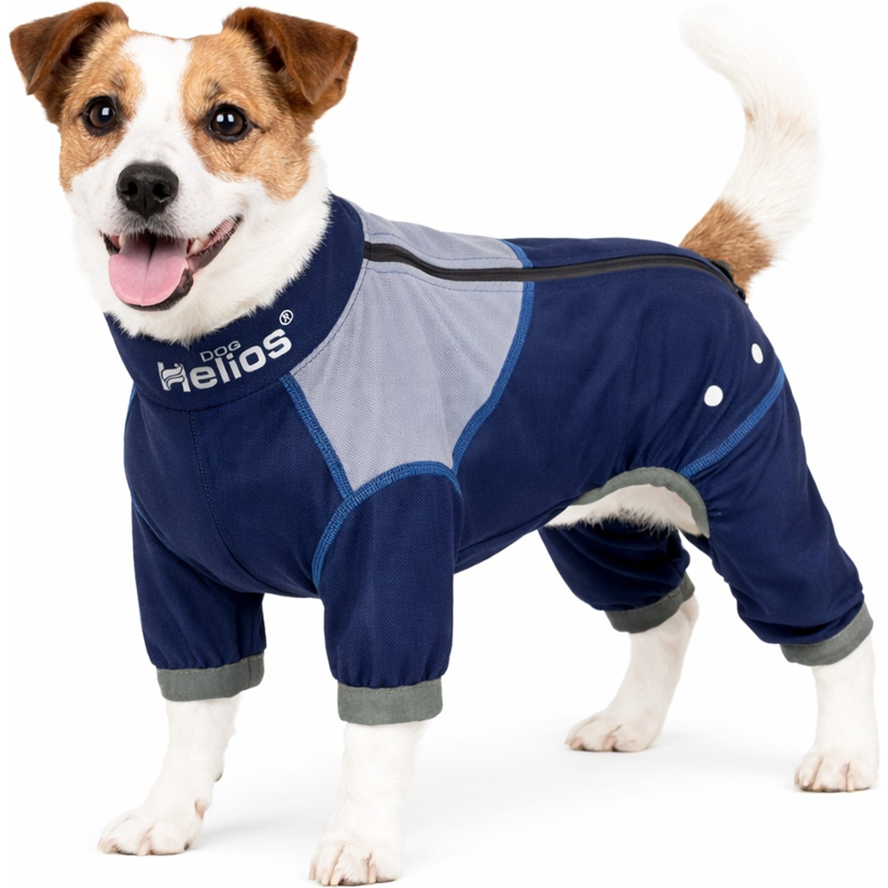 Dog Helios Tail Runner Lightweight 4-Way Stretch Performance Dog Tracksuit, Blue & Grey, Medium