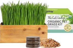 The Cat Ladies Cat Grass Kit & Decorative Wood Planter, Natural