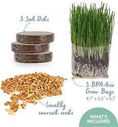 The Cat Ladies Organic Pet Grass Grow Kit, 3 count slide 2 of 7