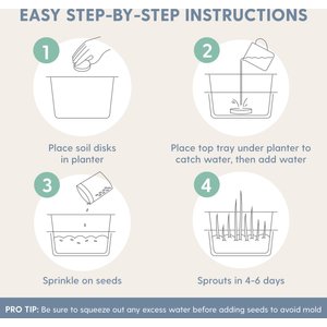 The Cat Ladies Organic Pet Grass Growing Kit with Containers, 3 count