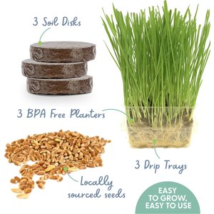 The Cat Ladies Organic Pet Grass Growing Kit with Containers, 3 count