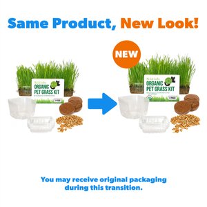 The Cat Ladies Organic Pet Grass Growing Kit with Containers, 3 count