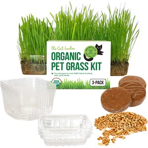 The Cat Ladies Organic Pet Grass Growing Kit with Containers, 3 count
