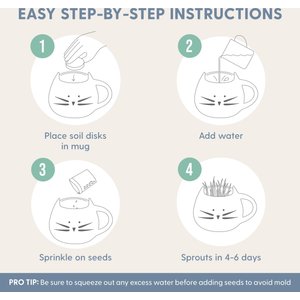 The Cat Ladies Organic Pet Grass Grow Kit with Planter, White