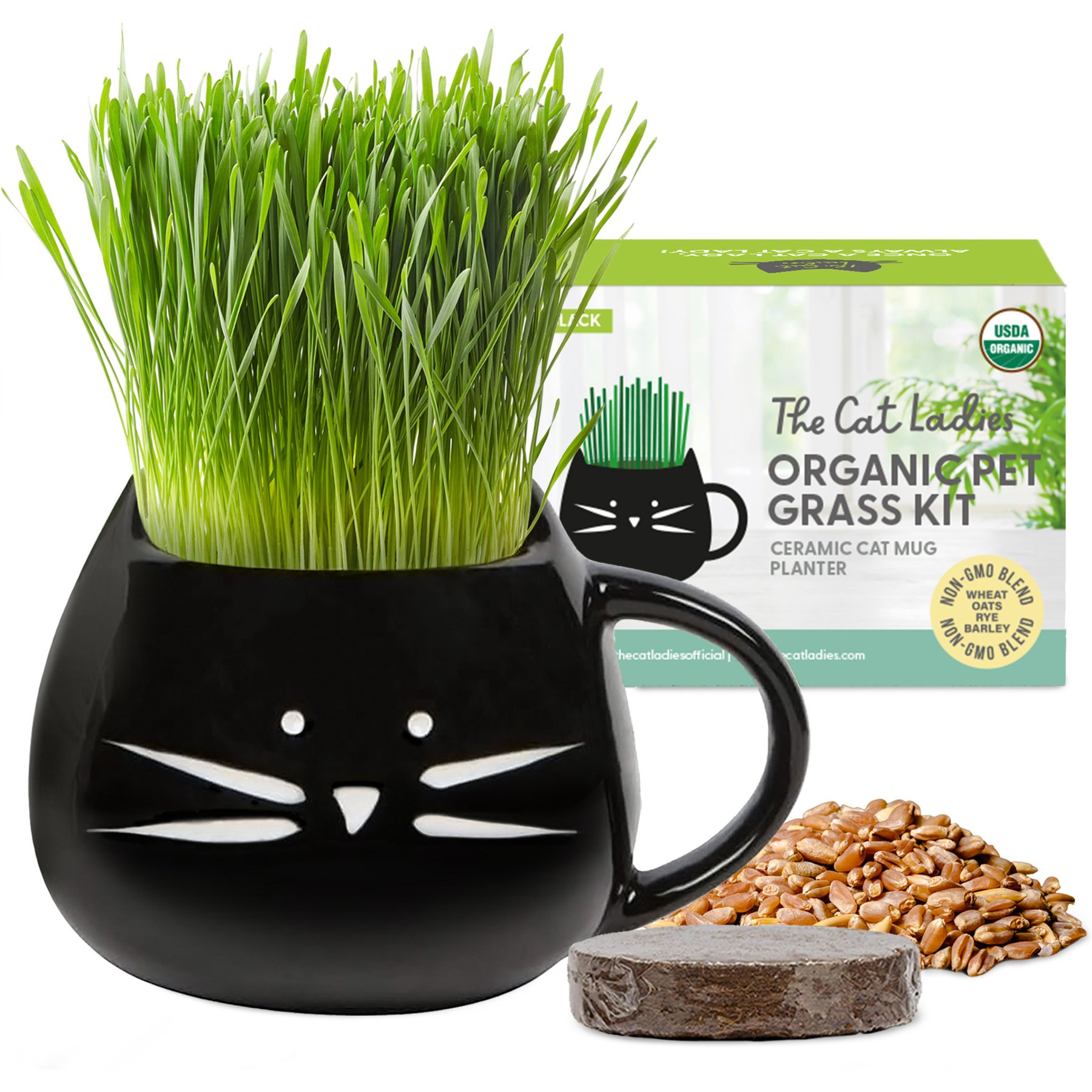 The Cat Ladies Organic Pet Grass Grow Kit with Planter, Black