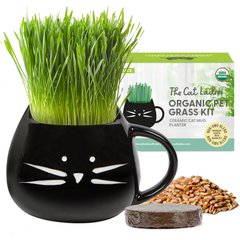 The Cat Ladies Organic Pet Grass Grow Kit with Planter, Black