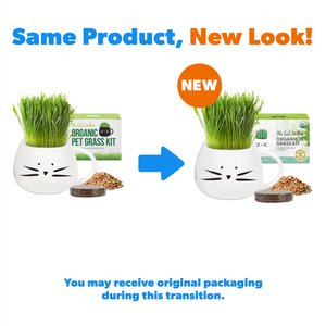 The Cat Ladies Organic Pet Grass Grow Kit with Planter, White