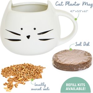 The Cat Ladies Organic Pet Grass Grow Kit with Planter, White
