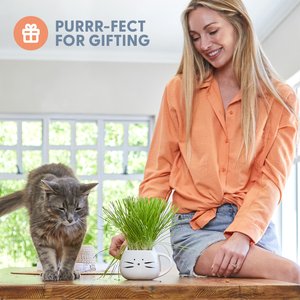 The Cat Ladies Organic Pet Grass Grow Kit with Planter, White
