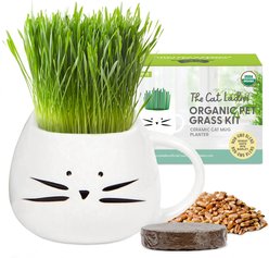 The Cat Ladies Organic Pet Grass Grow Kit with Planter, White