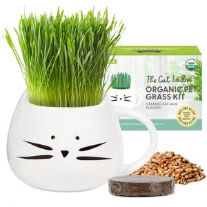 The Cat Ladies Organic Pet Grass Grow Kit with Planter, White