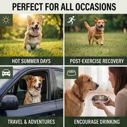Kahu Elements K9 HydroLyte Electrolyte Beef Broth Flavored Supplement for Dogs, 4-g tube slide 2 of 9