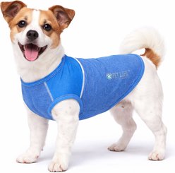 Pet Life Quick-Dry Stretch Active Dog T-Shirt, Blue, Medium