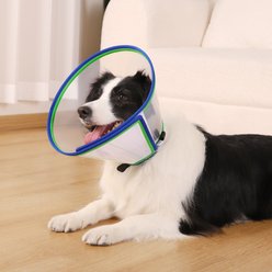 ICOYEA Transparent Adjustable Recovery Dog Soft Cone Collar, Blue, 11 to 12.4-in neck slide 2 of 7