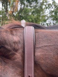 DziaSport Happy Horse Leather Halter, Brown, Pony slide 2 of 4