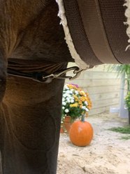 DziaSport Easy-Off Martingale with Clip, Brown, Cob slide 2 of 7