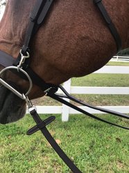 DziaSport Traditional Standing Martingale with Clip, Black, Pony slide 2 of 2