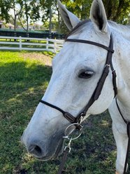 DziaSport Single Soft Rope Horse Noseband, Brown, Full