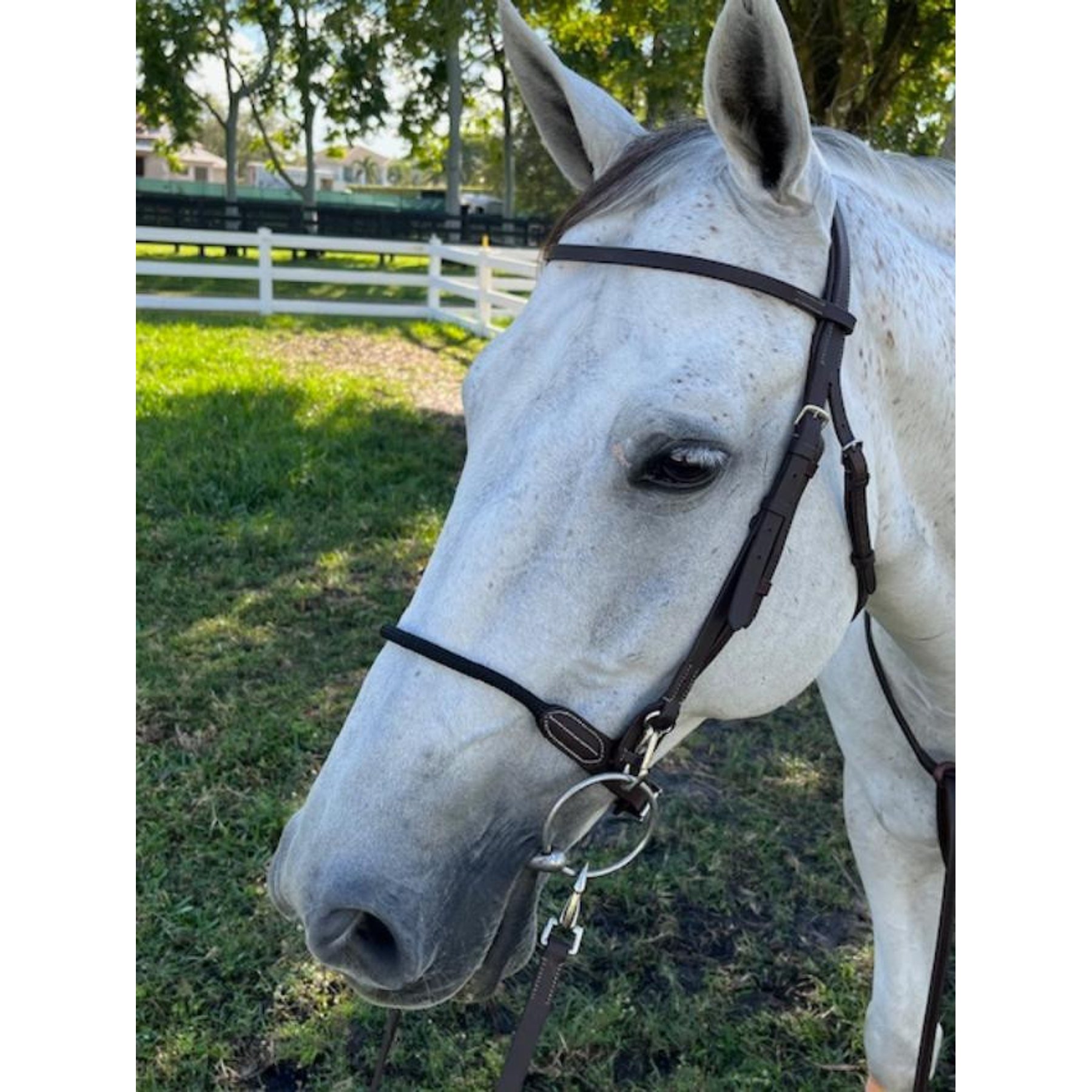 DziaSport Single Soft Rope Horse Noseband, Brown, Cob