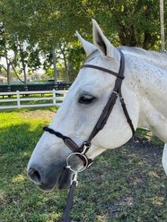 DziaSport Double Twisted Soft Rope Horse Noseband, Brown, Full