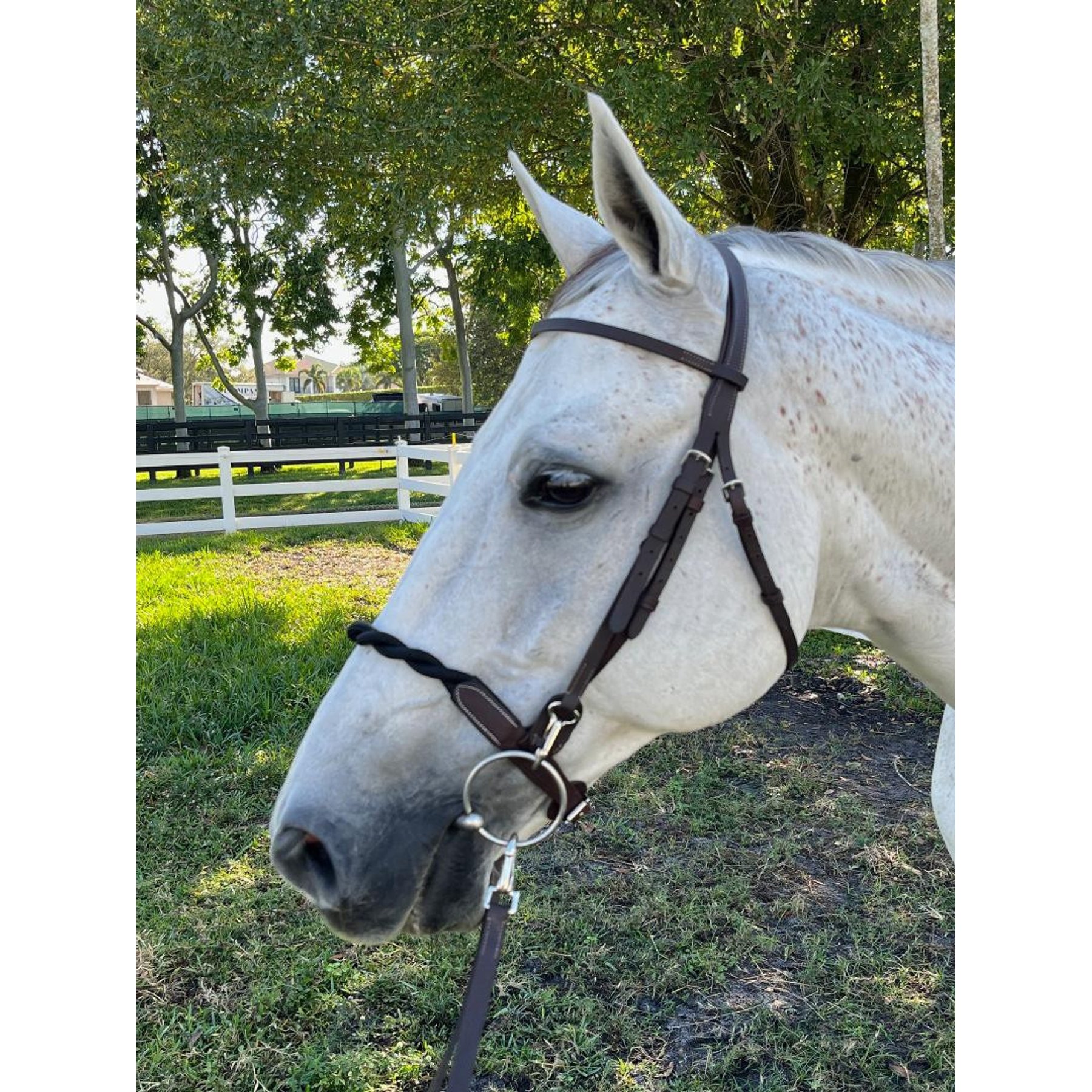 DziaSport Double Twisted Soft Rope Horse Noseband, Brown, Full