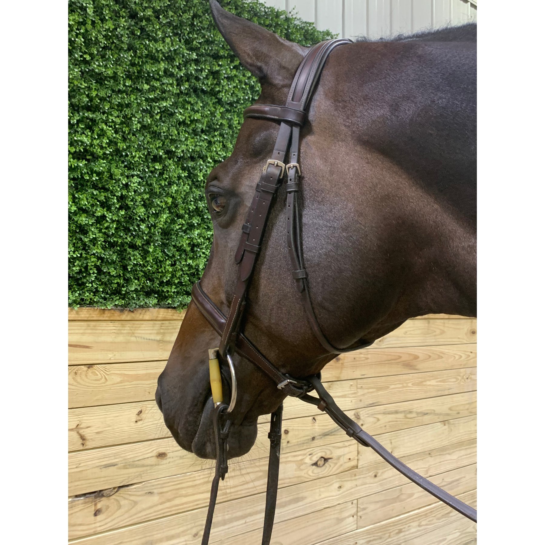 DziaSport Easy-Off Martingale with Clip, Brown, Pony