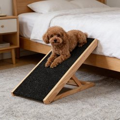 Bencmate Elevated Adjustable Height Foldable Dog Ramp, Black