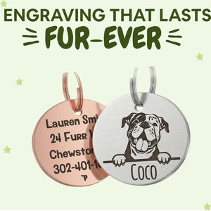PawFurEver Dog Breed Stainless Steel Personalized Dog ID Tag, Golden Retriever, Silver